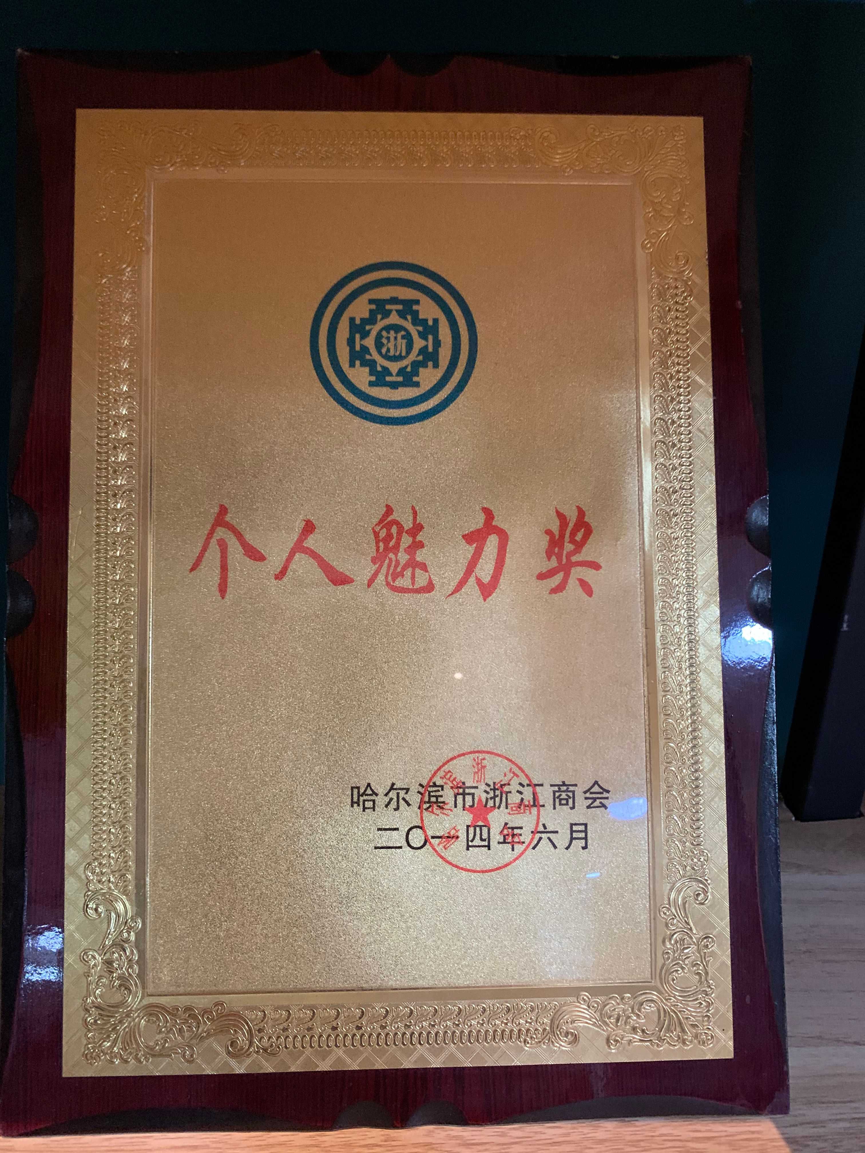 哈尔滨市浙江商会个人魅力奖